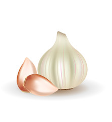 Whole and slices of garlic. vector