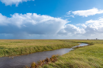 Landscape with salt marshes in St Peter-Ording