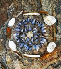 Organized seashells in artistic pattern on cliff