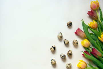 A bouquet of yellow and red tulips and quail eggs on a bright background. Postcard for Easter and spring holidays. Top view. Flat lay.
