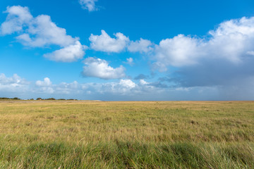 Landscape with salt marshes in St Peter-Ording
