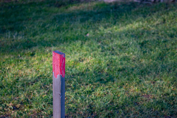 Wooden stake with red painted top standing in the grass with selected focus on pole