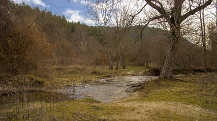 Trees near river in Medven located in South-East Bulgaria. In the park there is the famous waterfall "Sini Vir". The river forms the waterfall and its famous because the water looks natural blue.