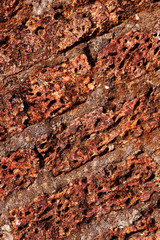 Old laterite wall laterite texture background,Pattern decorative uneven cracked real stone wall surface with cement
