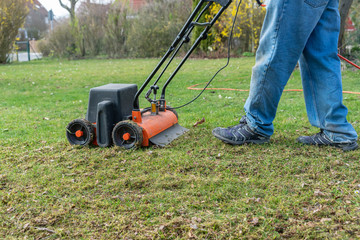 Lawn thatcher in action