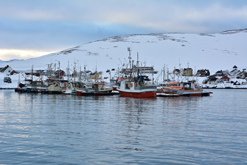 Fototapeta premium Skarsvag is a village in Nordkapp