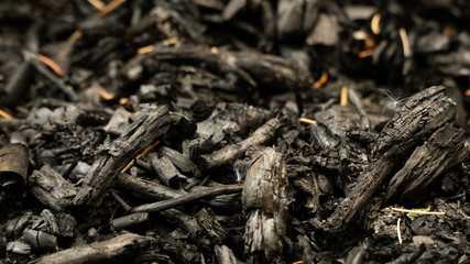 ash after a fire in the forest