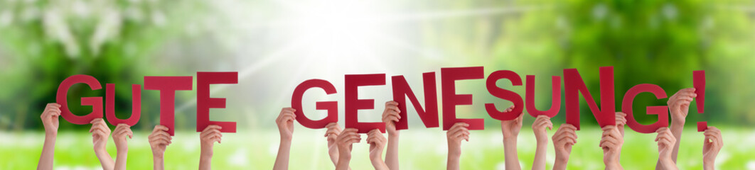 People Hands Holding Colorful German Word Gute Genesung Means Get Well Soon. Sunny Green Grass...