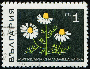 BULGARIA - CIRCA 1969: stamp 1 Bulgarian stotinka printed by Republic of Bulgaria, shows medical...