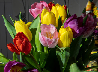 spring multi-colored tulips on the kitchen table on a gray background