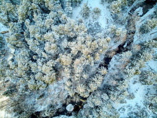 River in snowy forest