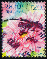 ISRAEL - CIRCA 2013: stamp 20 Israeli new agora printed by State of Israel, shows flowering plant...