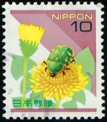 JAPAN - CIRCA 1997: stamp 10 Japanese yen printed in Japan shows flowering plant dandelion and...