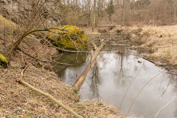 Umgefallner Baum im Wasser