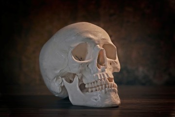 Human Skull on old wood with dark background. 