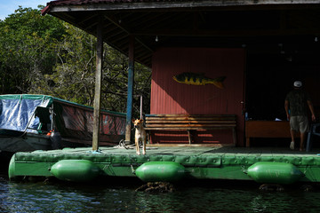 Amazon boat tour in Brazil