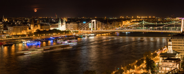 Fototapeta premium Budapest, panoramic view of the city and the Elisabeth Bridge at night, Hungary
