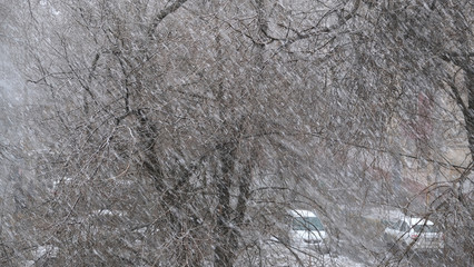 snow blows outside the window