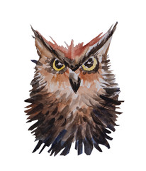 Watercolor hand drawn isolated. Angry owl for fabric, cover, card