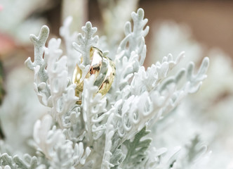 Wedding Ring Gold romantic sign of love and engagement