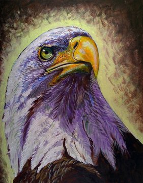 Art painting  oil  color  eagle   animal