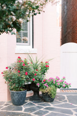 Flower pots in front of pink house