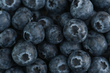 Fresh ripe blueberries background. Macro shot. Top view close up