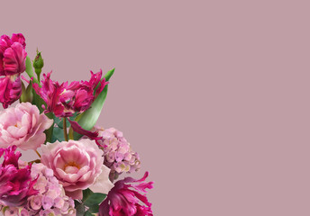Floral banner, header with copy space. Pink roses and magenta tulips isolated on pastel background. Natural flowers wallpaper or greeting card.