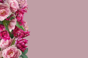 Fototapeta na wymiar Floral banner, header with copy space. Pink roses and magenta tulips isolated on pastel background. Natural flowers wallpaper or greeting card.