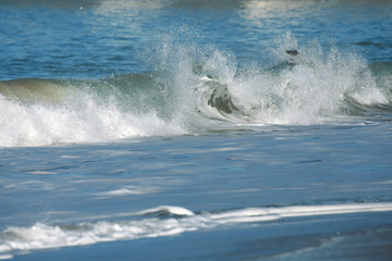 Vagues déferlantes océan atlantique