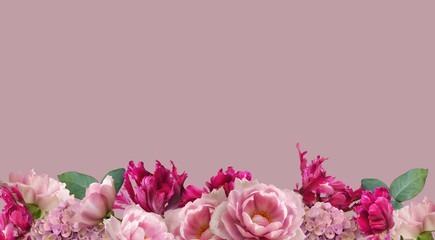Floral banner, header with copy space. Pink roses and magenta tulips isolated on pastel background. Natural flowers wallpaper or greeting card.
