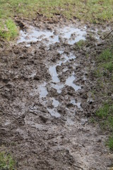 An Area of Wet Sticky Mud at a Grass Field Entrance.
