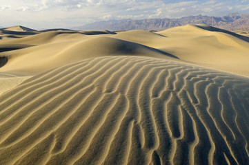 Landscape of the Mesquite Flat Sand Dunes, Death Valley National Park, California, USA