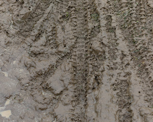 Mountain bike tire tracks in the mud