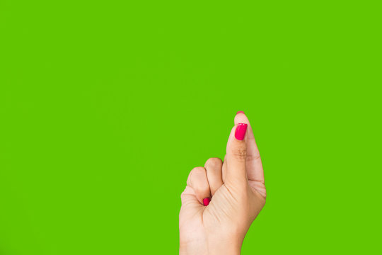 Close up photography of one beautiful female caucasian hand isolated on green background. Anonymous adult woman holds hand as if showing something virtual and invisible between fingers. - Powered by Adobe