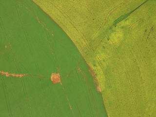 Aerial photo taken with two crops drone next to each other in two shades of green