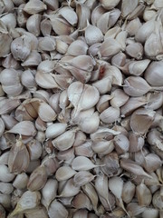 Garlic collection sold in the market in the morning.