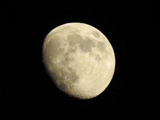 Mond