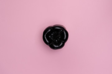 Matte black pepper on the pink background. Top view of the object in the centre of the picture. Minimal style. Conceptual minimalism. One. Unusual fruit. Copy space. Central composition