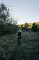 Female cyclist ride sunset in forest