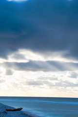 Cherry blossom in Sweden