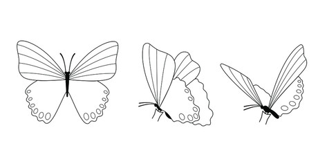 Line butterfly illustration set
