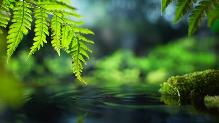 light rain on a background of palm trees and rain forest. Meditation and yoga are in harmony with nature. Tropical Sandy Beach, Summer Holiday Background. Travel Vacation, Empty Copy Space for Text 