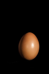 golden egg on black background
