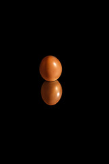 egg on black background
