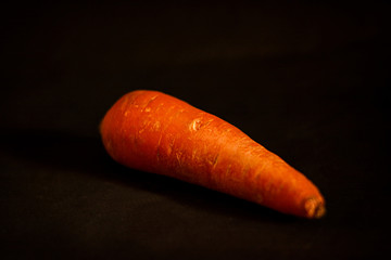 fresh carrots on white background