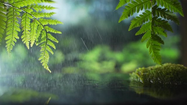 light rain on a background of palm trees and rain forest. Meditation and yoga are in harmony with nature. Tropical Sandy Beach, Summer Holiday Background. Travel Vacation, Empty Copy Space for Text 