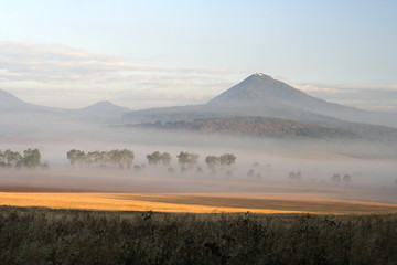 landscape with fog