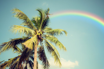 Fototapeta na wymiar Retro coconut tree on blue sky with rainbows