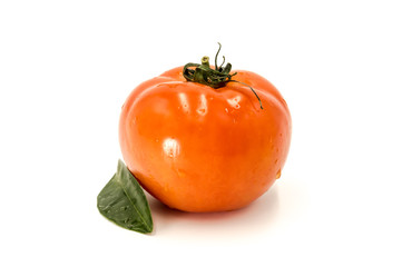 Tomato with green leaves